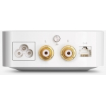Devialet Arch 無線音頻連接器 (經典白)